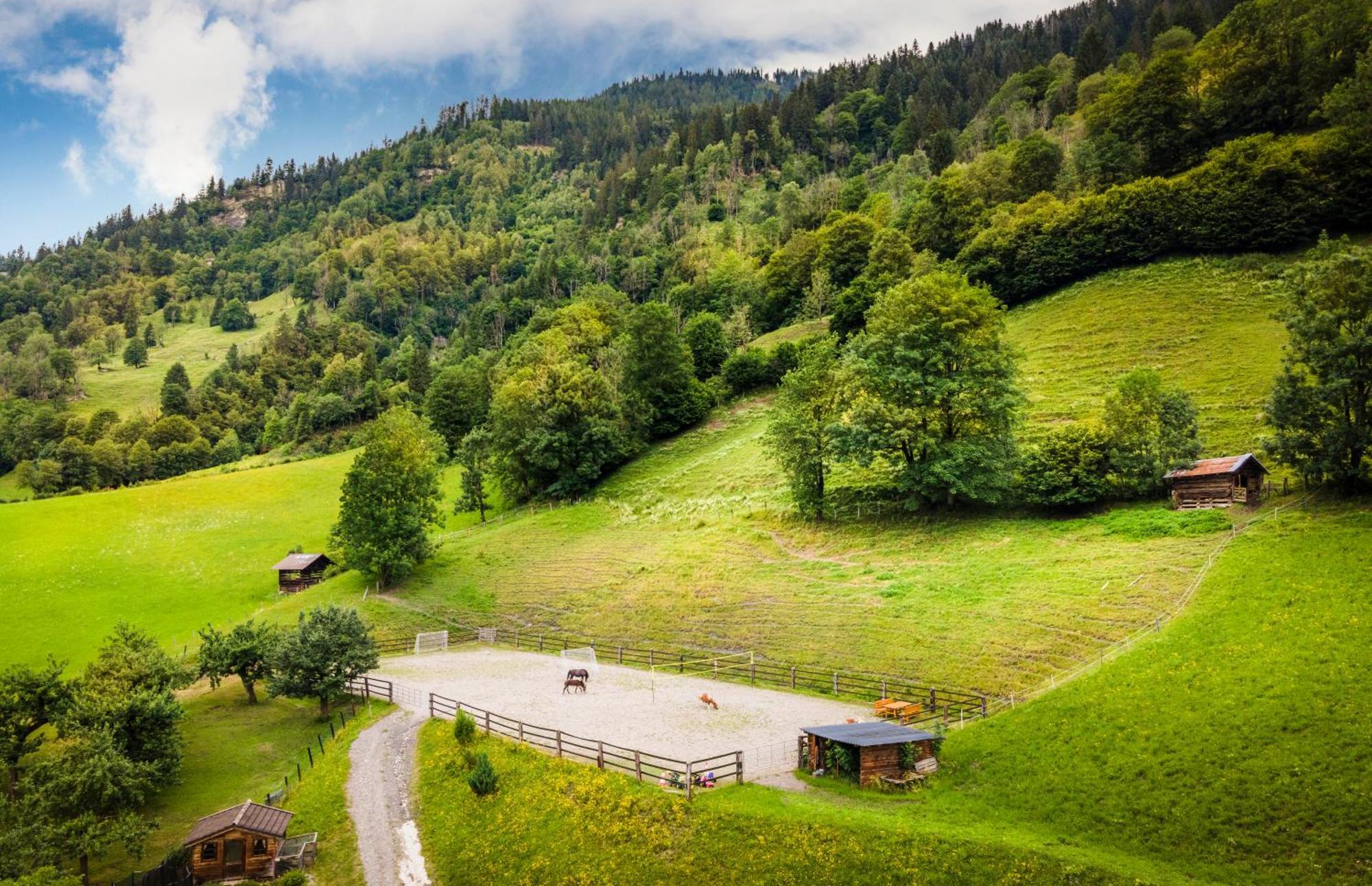 Biobauernhof Torbauer Lejlighed Dorfgastein Eksteriør billede